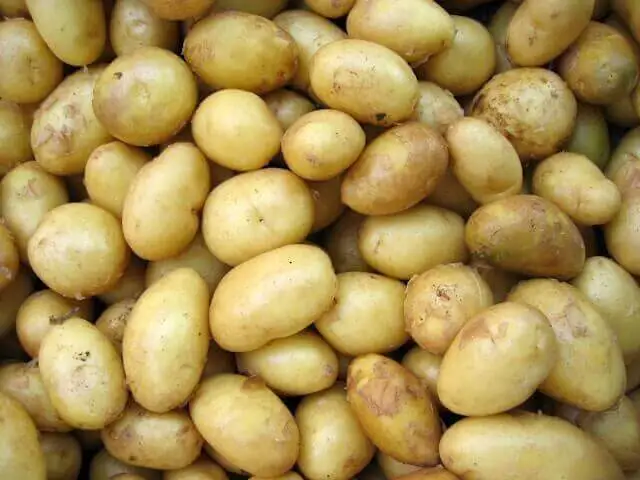 Câte kg de cartofi ies la un cuib?