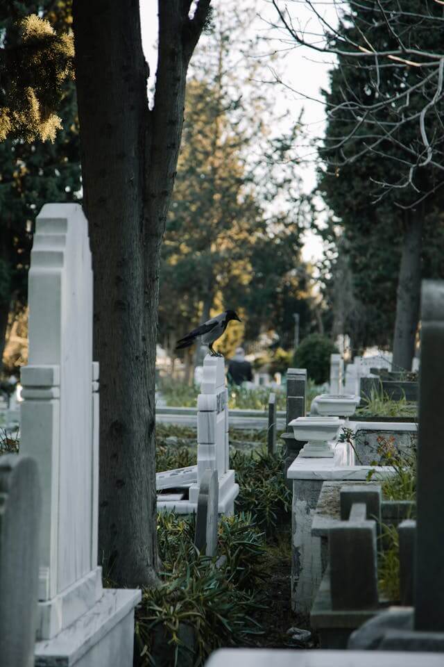 Cu ce se curăță marmura la cimitir?