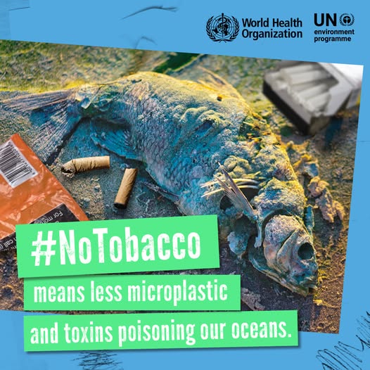 source: https://www.facebook.com/WHO/posts/pfbid0eBz68Pq8kpUvtZSzoNJYKBuceWM8QMh1T6RWKyCWUYay2xmrGCvD1eJejonifVMul