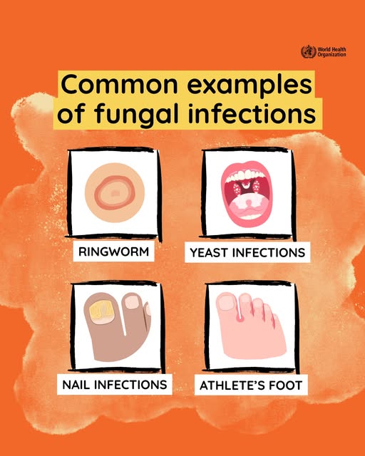 source: https://www.facebook.com/WHO/posts/pfbid02KXGassB1Z6GB2oh6eCStDGZrAWtRHnPmWPNHw7JKdYXjZiTnvrhccdfuW3x5xJyZl